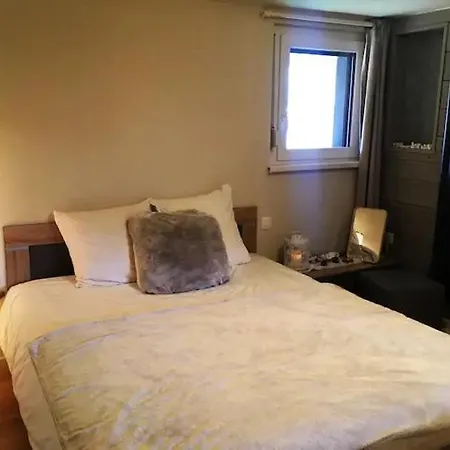 Joli Cosy 2 A 4 Pers Avec Terrasse La Fourmi Orbey